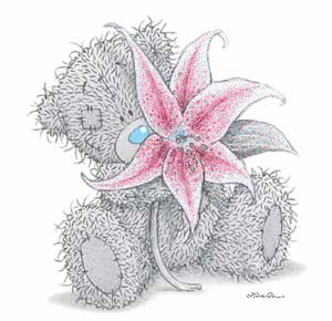 nounours
